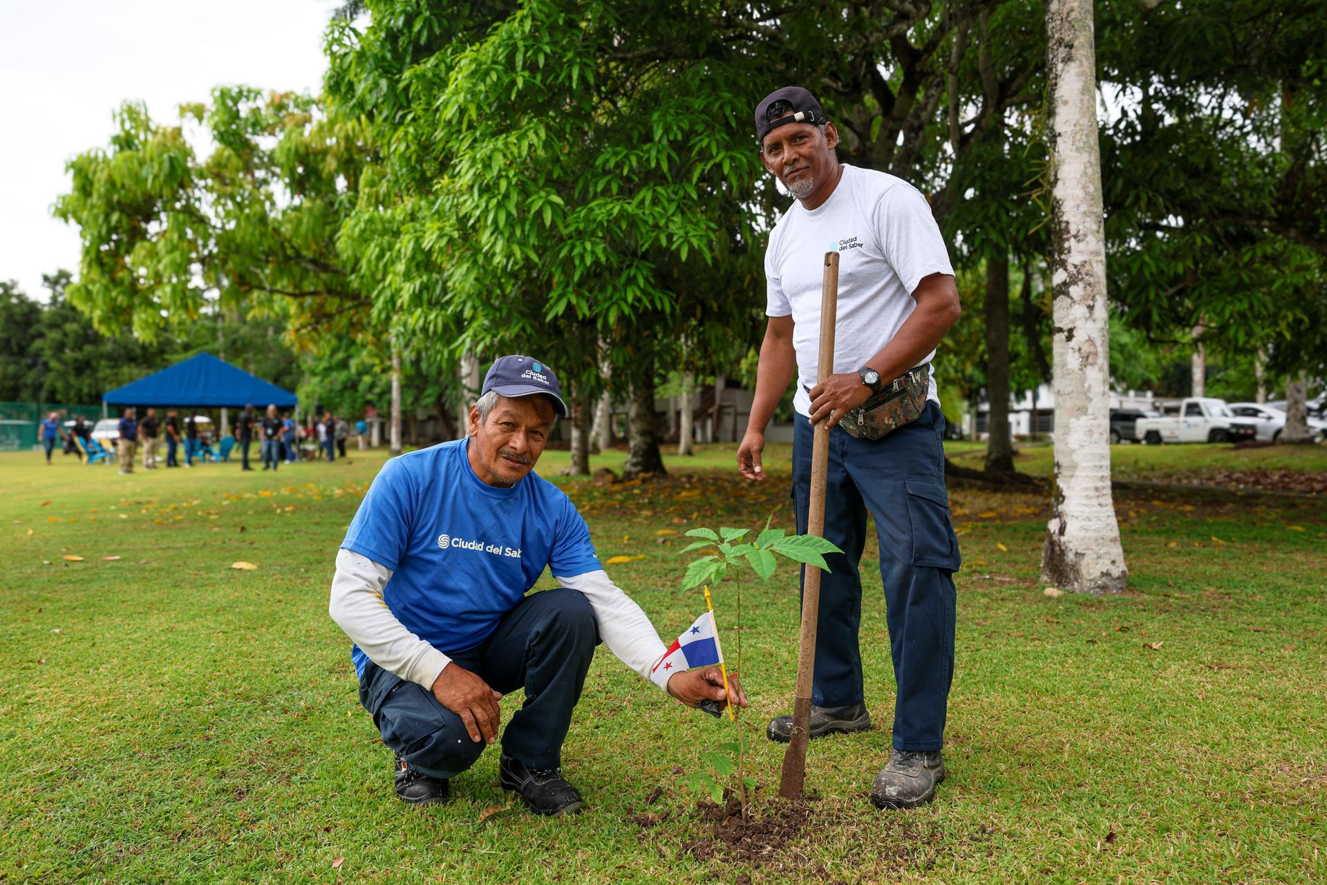 soy un alt por defecto por favor validar en imagen