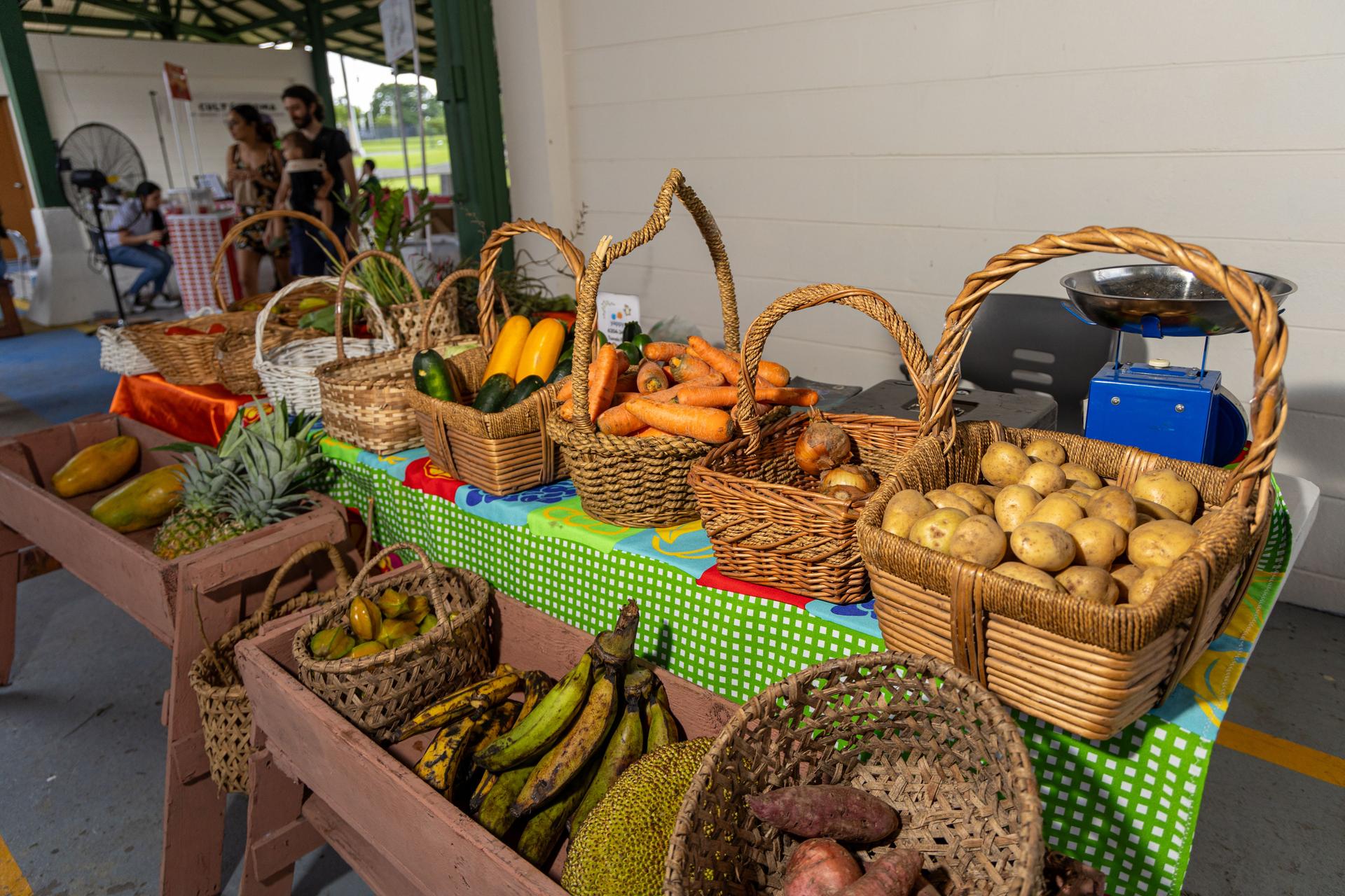 soy un alt por defecto por favor validar en imagen