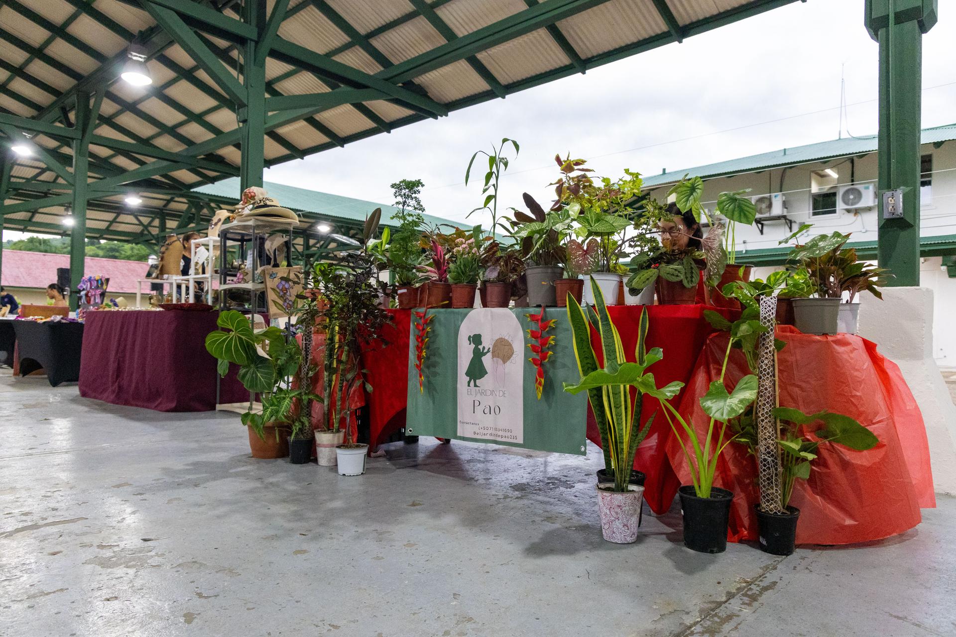 soy un alt por defecto por favor validar en imagen