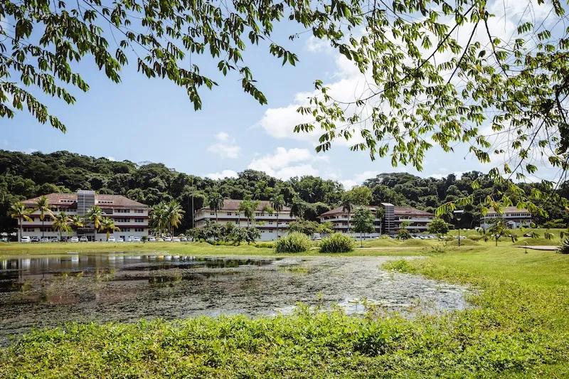 soy un alt por defecto por favor validar en imagen