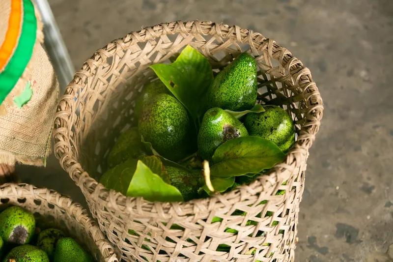 Productos agrícolas en Ciudad del Saber