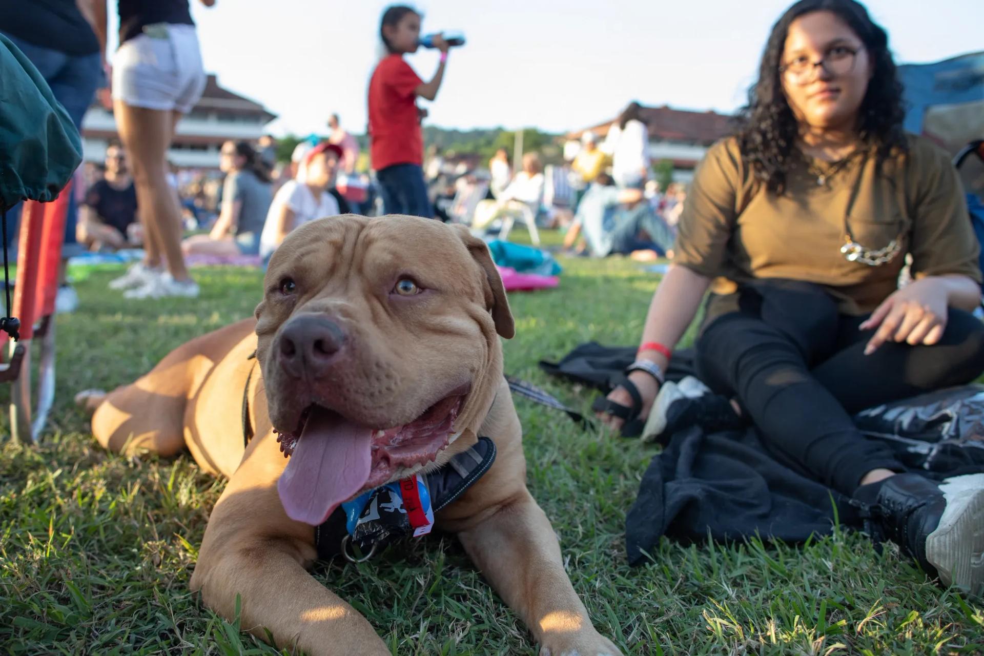 Una mascota hace parte y vive un evento en Ciudad del Saber